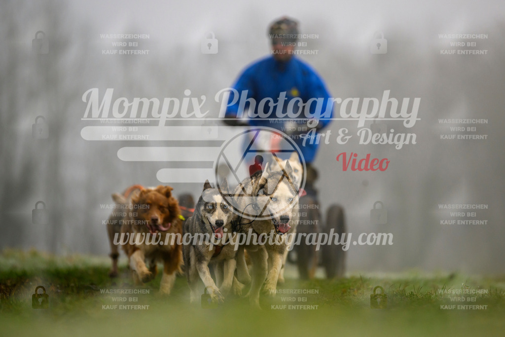 MompixPhotography_CDF2023_FFST_Di_Kart-64 | PayLife