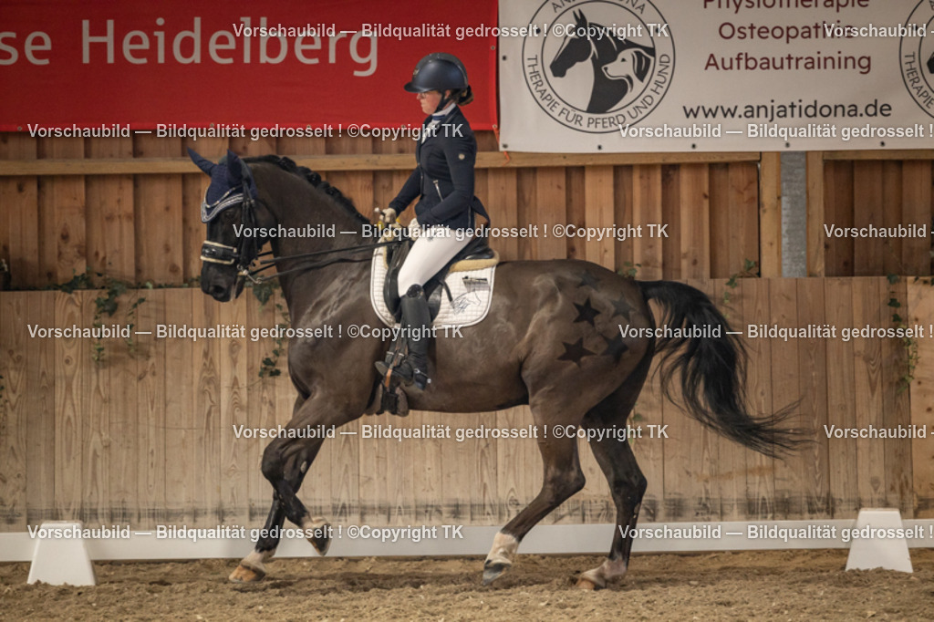 _D5A9547 | Emotionale Pferde- & People-Fotografie rund um Heidelberg, Leimen & Umgebung. Natürliche Fotos von Pferd, Mensch & Familie. Jetzt Termin sichern!