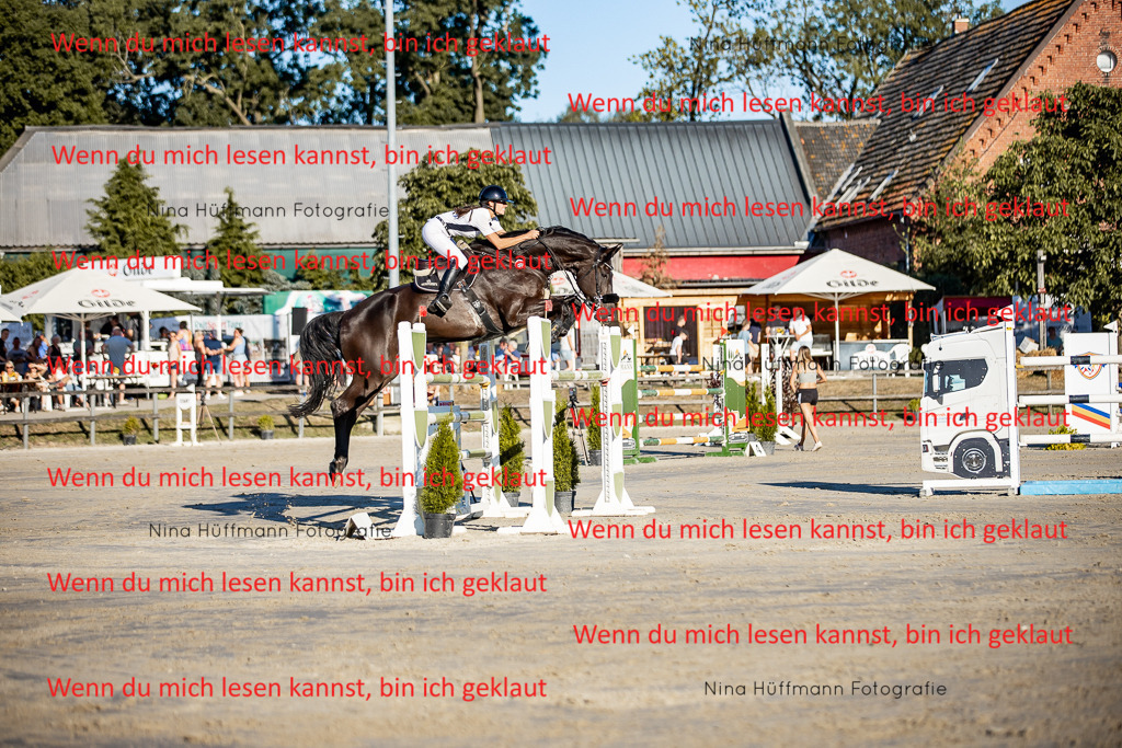 BK1A8423 | Turnierbilder Turnierfotos Nina Hüffmann Turnierfotografie Pferdefotografie Tierzeichnung Haustierzeichnung Pferdezeichnung Hundezeichnung Videograf  - Realisiert mit Pictrs.com