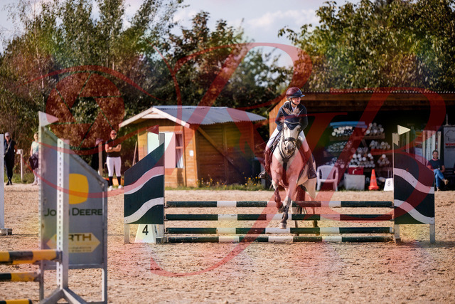 2026_10_03_Siefer-Hof_154520_Z81_63670433 | Professionelle Reitsport-, Turnier- und Eventfotografie von Robert Broda. Galerien mit ausgewählten und bearbeiteten Bildern direkt online ansehen und bestellen.