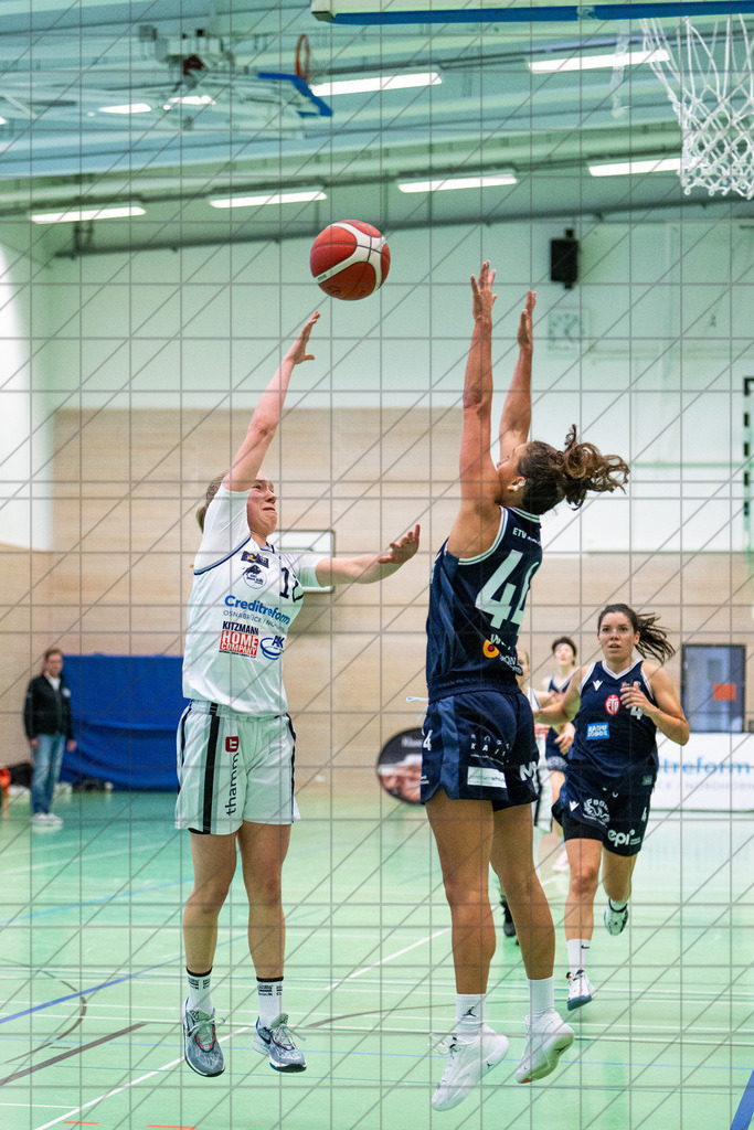 2. DBBL Nord 24/25 | 20.10.2024 | BBC OS vs. Eimsbütteler TV | 2. DBBL Nord 24/25 | 20.10.2024 | BBC OS vs. Eimsbütteler TV - - - - - CREDIT, www.bullenfotos.de, Martin König, Hörner Weg 40, D-49078 Osnabrück, +4917663732967, Nutzung und Weitergabe nur zu den vereinbarten Zwecken. Presseanfragen an Urheber. Alle Rechte beim Urheber. - - - - - - Realisiert mit Pictrs.com