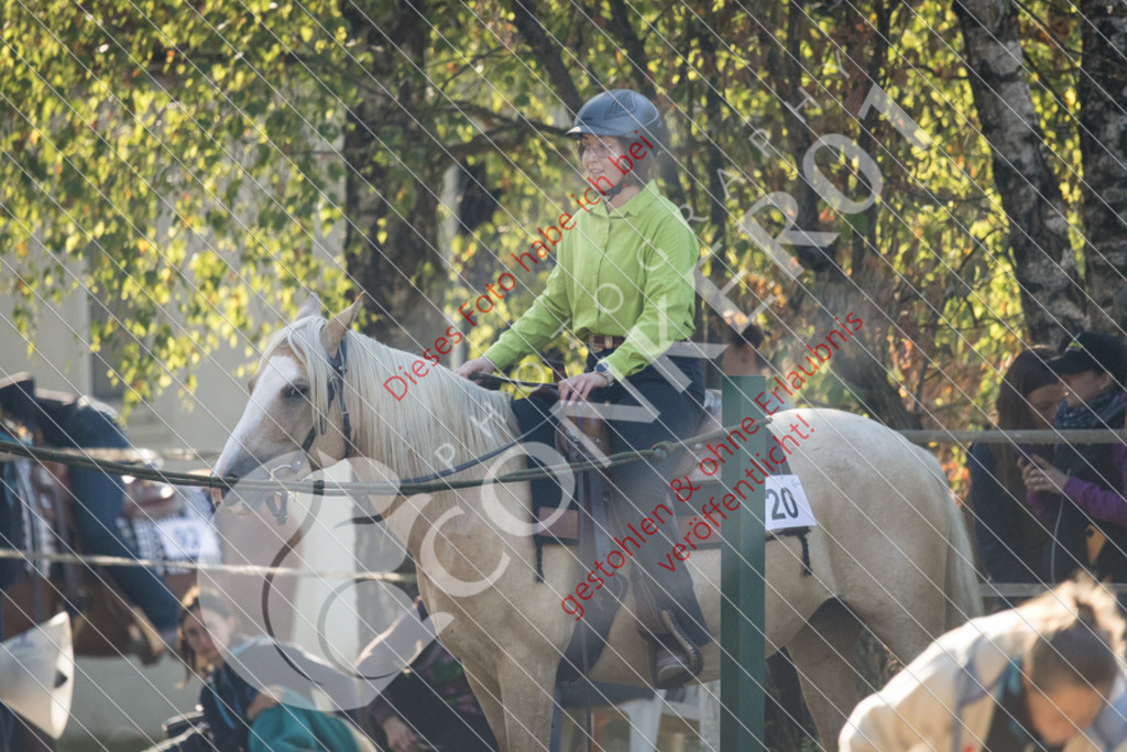 IMG_6313 | Sport-, Event- und Tierfotos in Profiqualität. Einfach auswählen, bestellen und herunterladen. Dein Moment – perfekt festgehalten.
