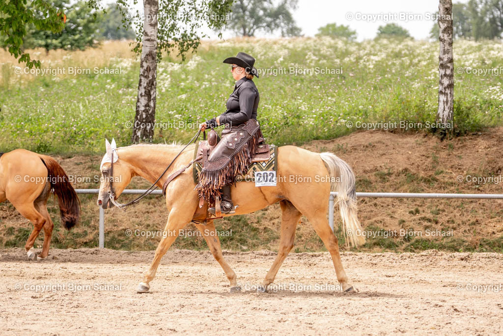 KBS01702 | BS-foto