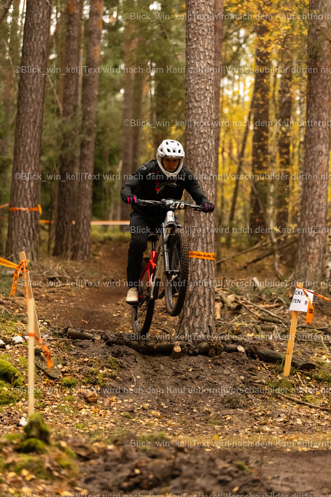 E68A3481 | blick_win_kel