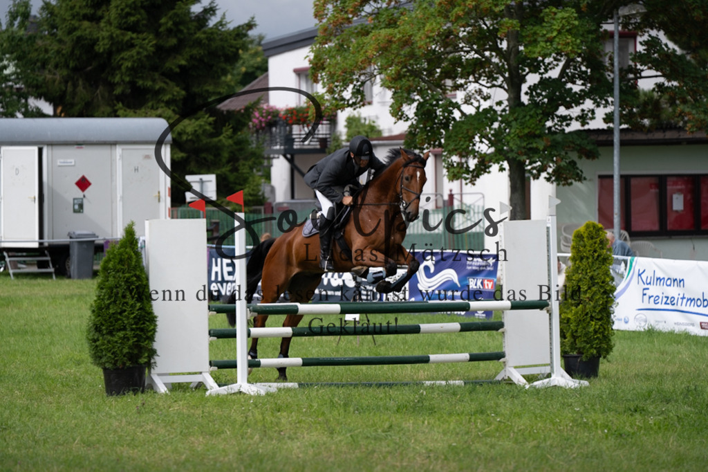 A7V03989 | Pferdefotograf