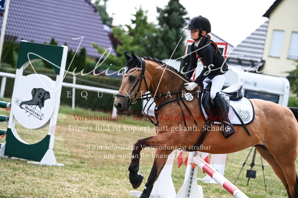 DSC_9706 | Pferde- und Turnierfotografie in Westsachsen. Pferdeportraits, Auftragszeichnungen und intuitive Kunst.