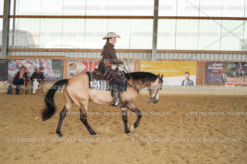 DSC00172 | Pferdegrafie