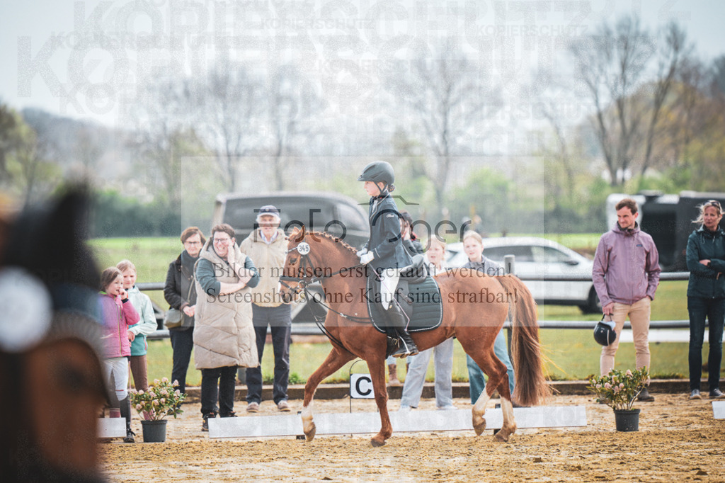 DOS_6527 | Entdecke hochwertige Reitturnierfotos von Foto Oger. Professionell, emotional und authentisch – jetzt Lieblingsmomente im Shop bestellen.Deutschlandweite Turnierfotografie. - Realisiert mit Pictrs.com