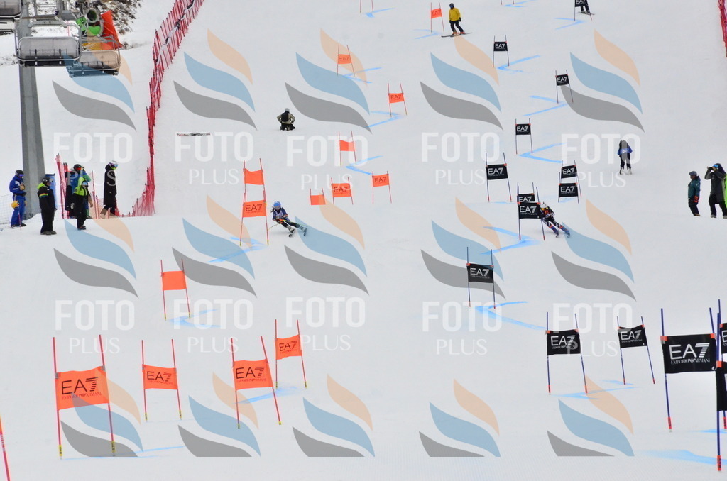 _ELE3705 | holidayphoto