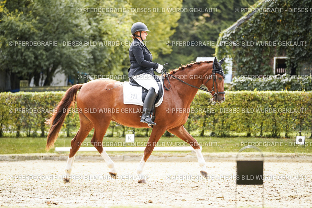 DSC01376 | Pferdegrafie