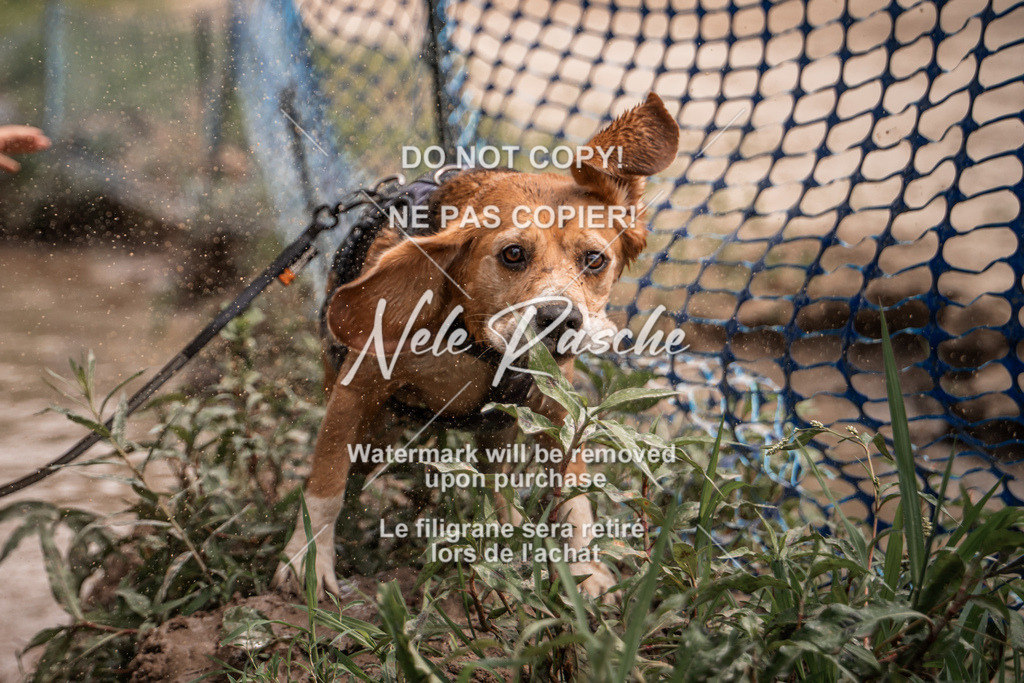 nelerasche_Hoope2026_So1400-1430_58 | nelerasche