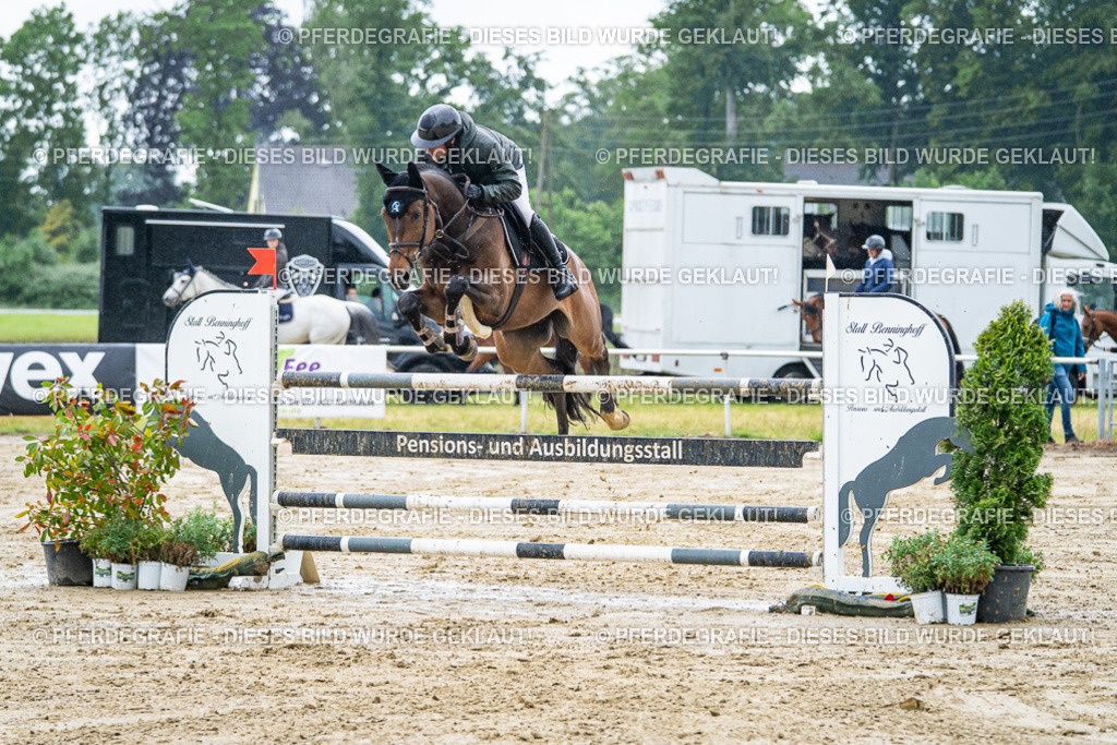 DSC03716 | Pferdegrafie