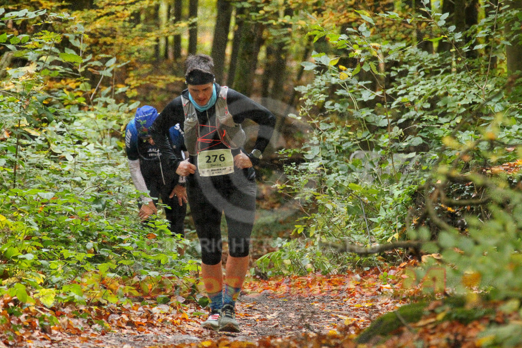 251026_1330_EV4_6952 | Sportfotografie im Rhein-Sieg Kreis, Köln, Bonn, NRW, Rheinland Pfalz, Hessen, etc. Unser Tätigkeitsfeld umfasst den Laufsport vom Volkslauf über den Marathon, Duathlon, Triathon bis zum Ultralauf wie Kölnpfad Ultra oder Schindertrail.