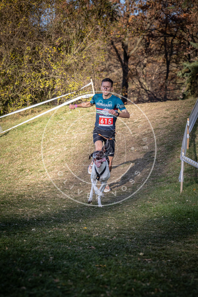 CaniXpix_0L8A8727 | Hundefotografie, Tierfotograf, Pfotenfotografie, Fotoshooting Hund, Hunde Portrait, Hundesport, Hundeportraits, Heideshooting, Hunde, Sportfotograf, Hundefotograf, Turnierhundsport, THS,  - Realisiert mit Pictrs.com