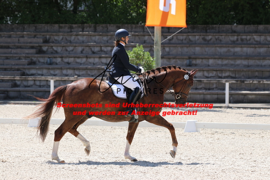 IMG_4931 | lmwpictures - Realisiert mit Pictrs.com