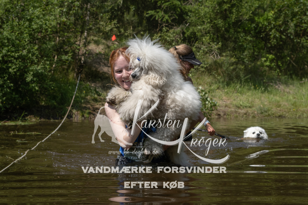 1317DKK993773 | kk-dogfotos