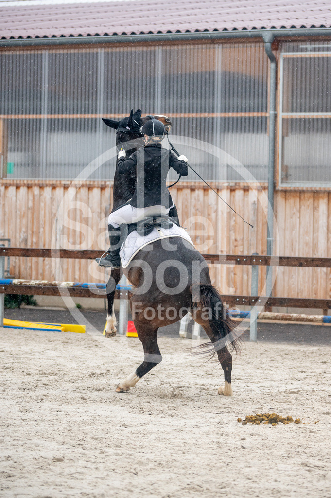 DSC_4572 | sattelsport - Realisiert mit Pictrs.com