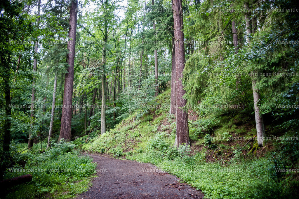 Herzlich Willkommen | Die Botschaft zum Bild lautet: Fühle dich willkommen in der Natur, fühle dich willkommen in diesem Wald. Wenn du durch dieses Tor schreitest, lass alles hinter dir, was dir nicht dient. Hier fließen ganz viel beruhigende Energien. Auch Energien der Heimat. Hier bist du Zuhause.
