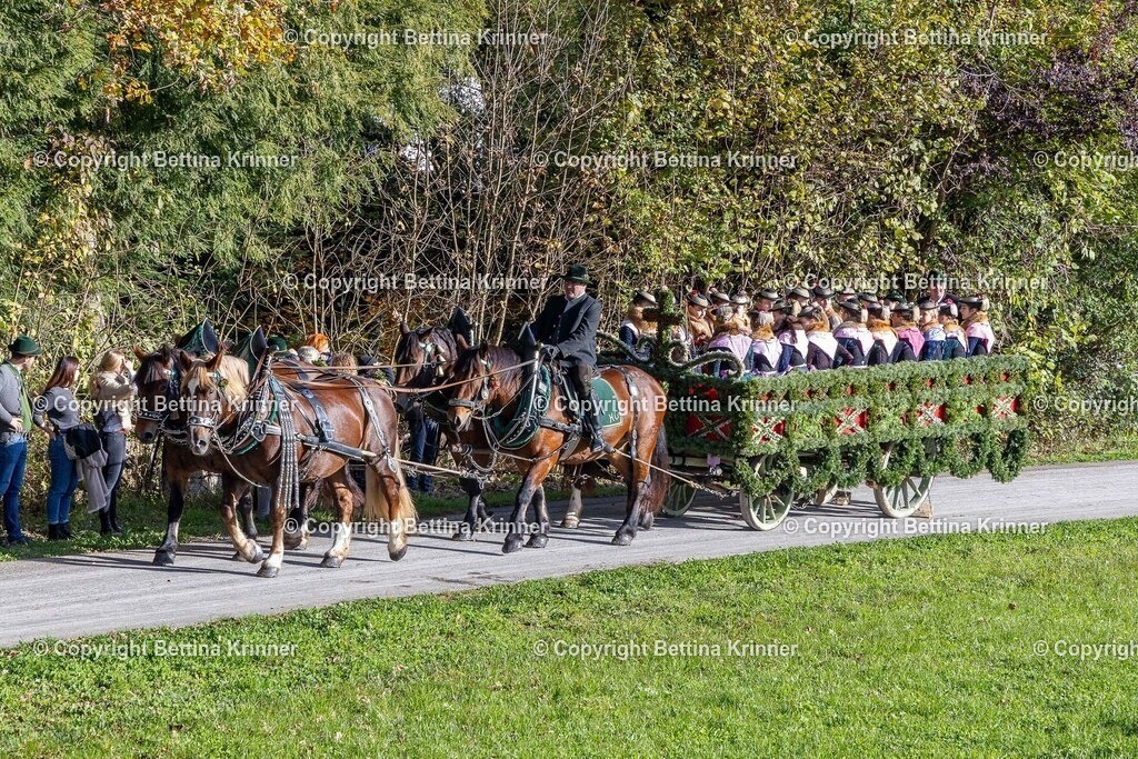 LBT24-520 | foto-bettina-krinner - Realisiert mit Pictrs.com