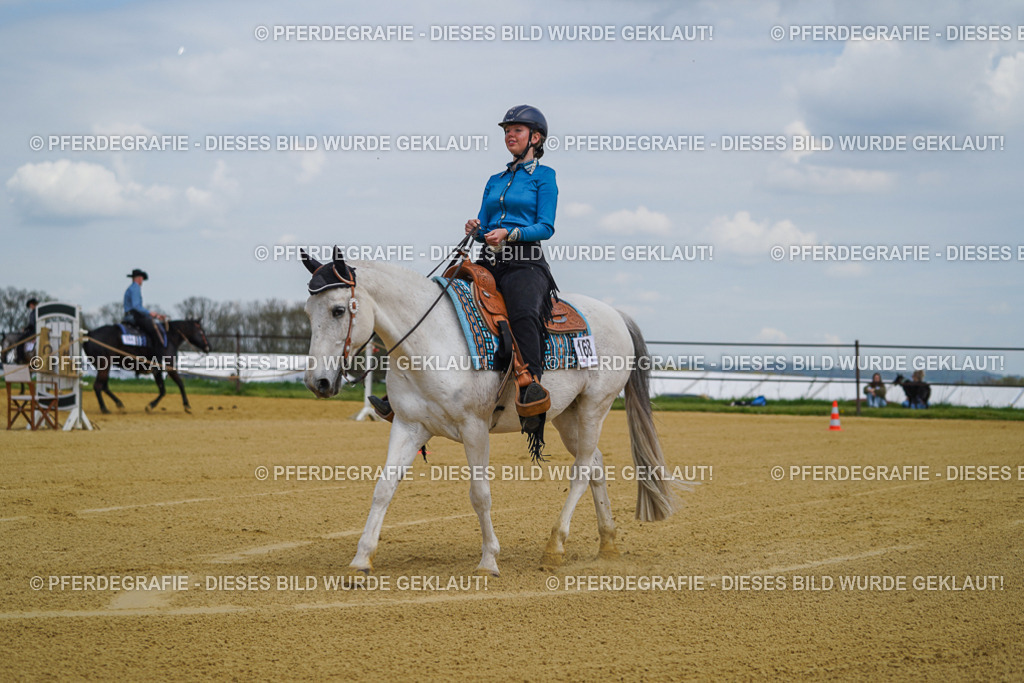 DSC05542 | Pferdegrafie