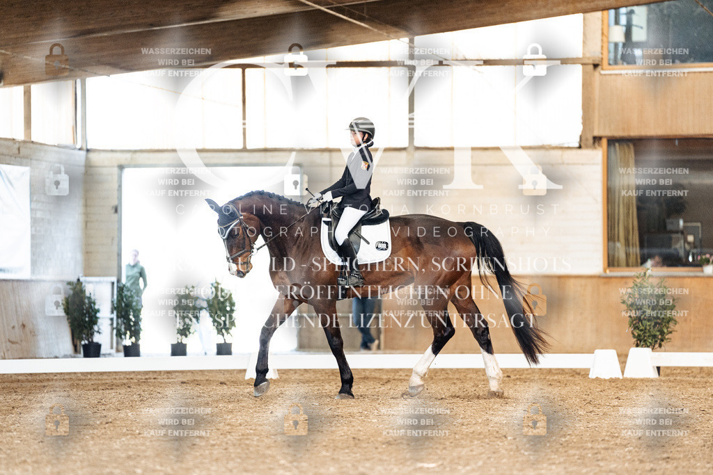 CK901173 | Turnierfotografie Pferdefotografie Trier Rheinland-Pfalz Pferdesport Reitsport Tierfotografie Sportfotografie Pferdevideo Pferdevideografie Equestrianvideography equestrianphotography  - Realized with Pictrs.com