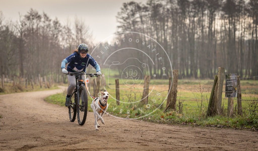 Pfotenfotografie_DV3A1761 | Hundefotografie, Tierfotograf, Pfotenfotografie, Fotoshooting Hund, Hunde Portrait, Hundesport, Hundeportraits, Heideshooting, Hunde, Sportfotograf, Hundefotograf, Turnierhundsport, THS,  - Realisiert mit Pictrs.com