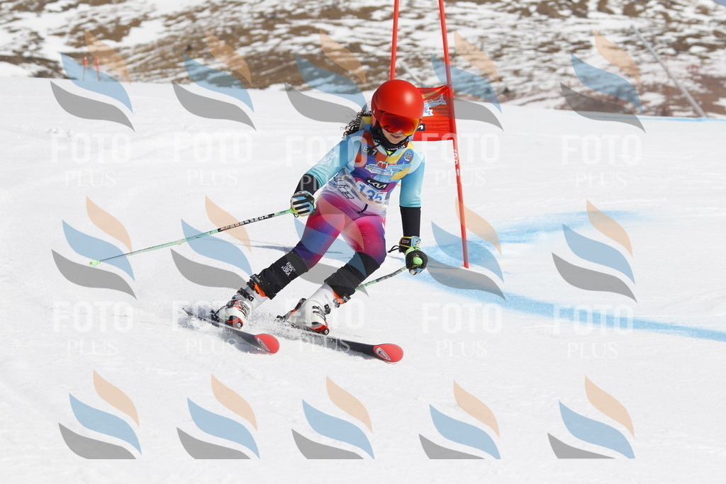 _U3G0964 | holidayphoto