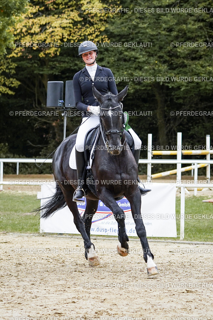 DSC02689 | Pferdegrafie