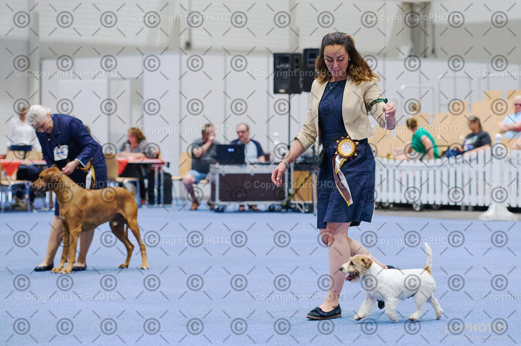 202406_ÖKV-IHA-Tulln24_DSC_2785 | proPHOTO - Realisiert mit Pictrs.com