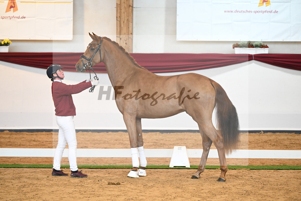 Kat-Nr. 52 v. Vaderland_Galneder_66220722 | hf-fotografie - Realisiert mit Pictrs.com
