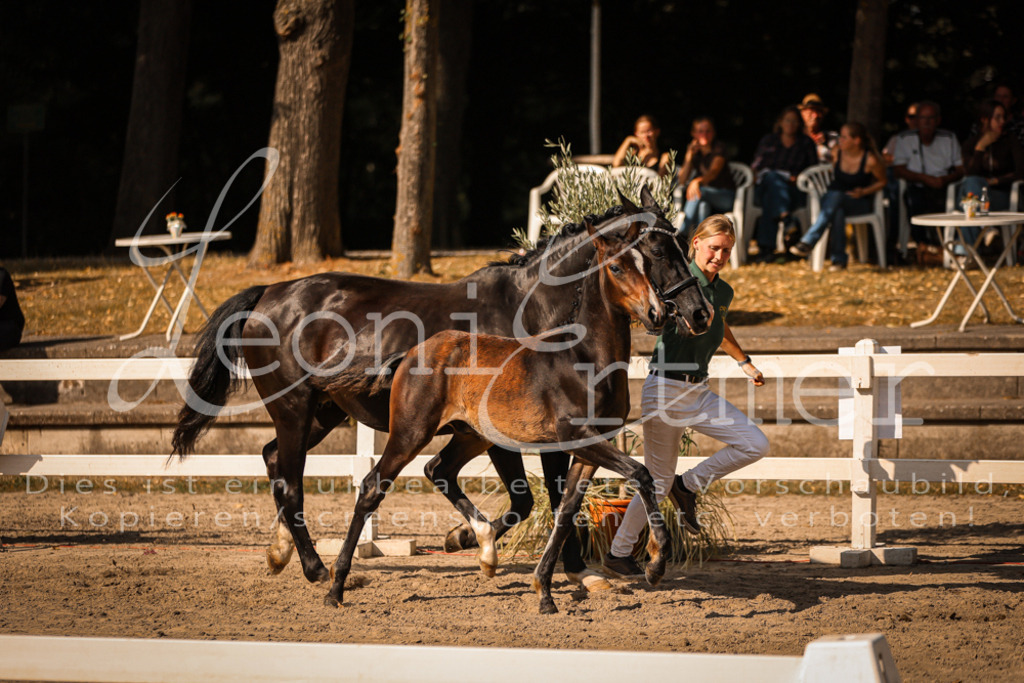 11.DoRP00064 | Leoni Ertmer Photography - Realisiert mit Pictrs.com