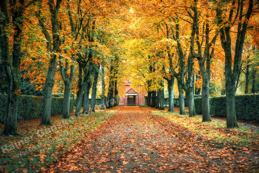 113 Wilhelmshaven Parks und Grünanlagen - 28-10-2023 -R Ganske | Onlineshop mit Bildern von Stränden, Häfen und Meer. Leinwände, Poster, Kalender und andere Materialien erhältlich. Kommerzielle Lizenzen möglich.  - Realisiert mit Pictrs.com