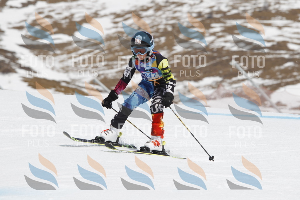 _U3G2833 | holidayphoto