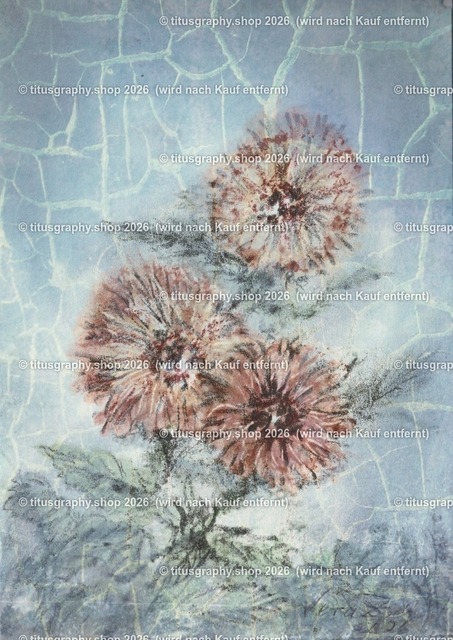 Asterngruß Variation 44 | Zeichnung von Vera Zschecked exclusiv auf titusgraphy.eu - Realisiert mit Pictrs.com