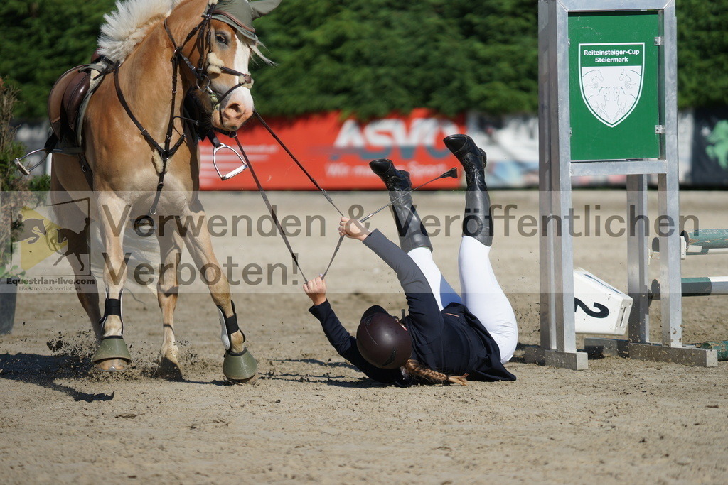 DSC06037 | equestrian-live-com