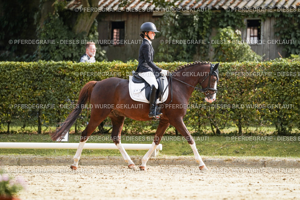 DSC05042 | Pferdegrafie