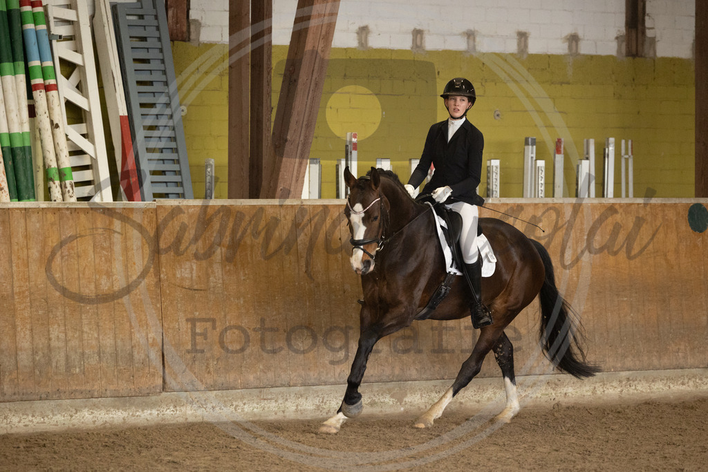 994A8775 | sabrinanicolaifotografie - Realisiert mit Pictrs.com