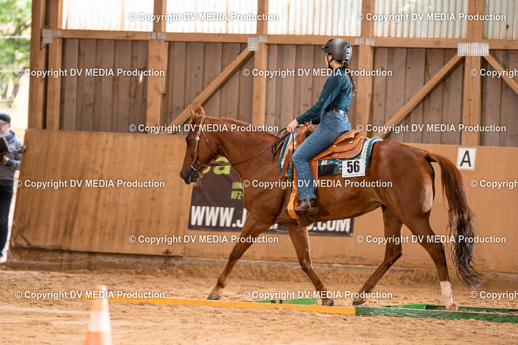 Losheim Tag 2-36 | dv-media-shop - Realisiert mit Pictrs.com