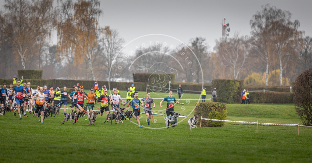 CaniXpix_DV3A9419 | Hundefotografie, Tierfotograf, Pfotenfotografie, Fotoshooting Hund, Hunde Portrait, Hundesport, Hundeportraits, Heideshooting, Hunde, Sportfotograf, Hundefotograf, Turnierhundsport, THS,  - Realisiert mit Pictrs.com