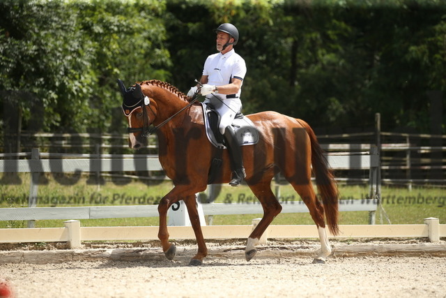 Weil am Rhein_2022_Dressur_Kl.M_Jürgen Frank_Donatello 152 (7) | Alle Fotos der Reiterjournal Fotografin Doris Matthaes im Reiterjournal Online-Fotoshop. - Realized with Pictrs.com