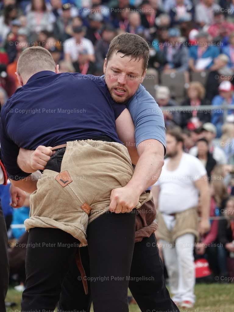 DSC04865 | Schwingen - Realisiert mit Pictrs.com