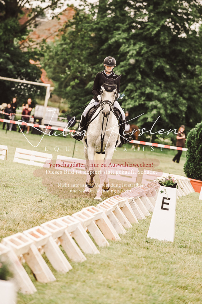 DSC_5173 | Pferde- und Turnierfotografie in Westsachsen. Pferdeportraits, Auftragszeichnungen und intuitive Kunst.