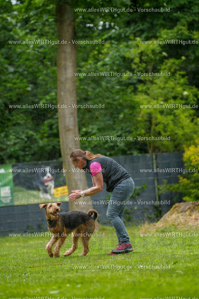 @allesWIRTHgut_Tierfotografie - www.allesWIRTHgut.de - 124100-7R509303 | Professionelle Tierfotografie in Mönchengladbach von Daniel Wirth (allesWIRTHgut). Liebevolle & natürliche Bilder von Hunden & Katzen für unvergessliche Erinnerungen.