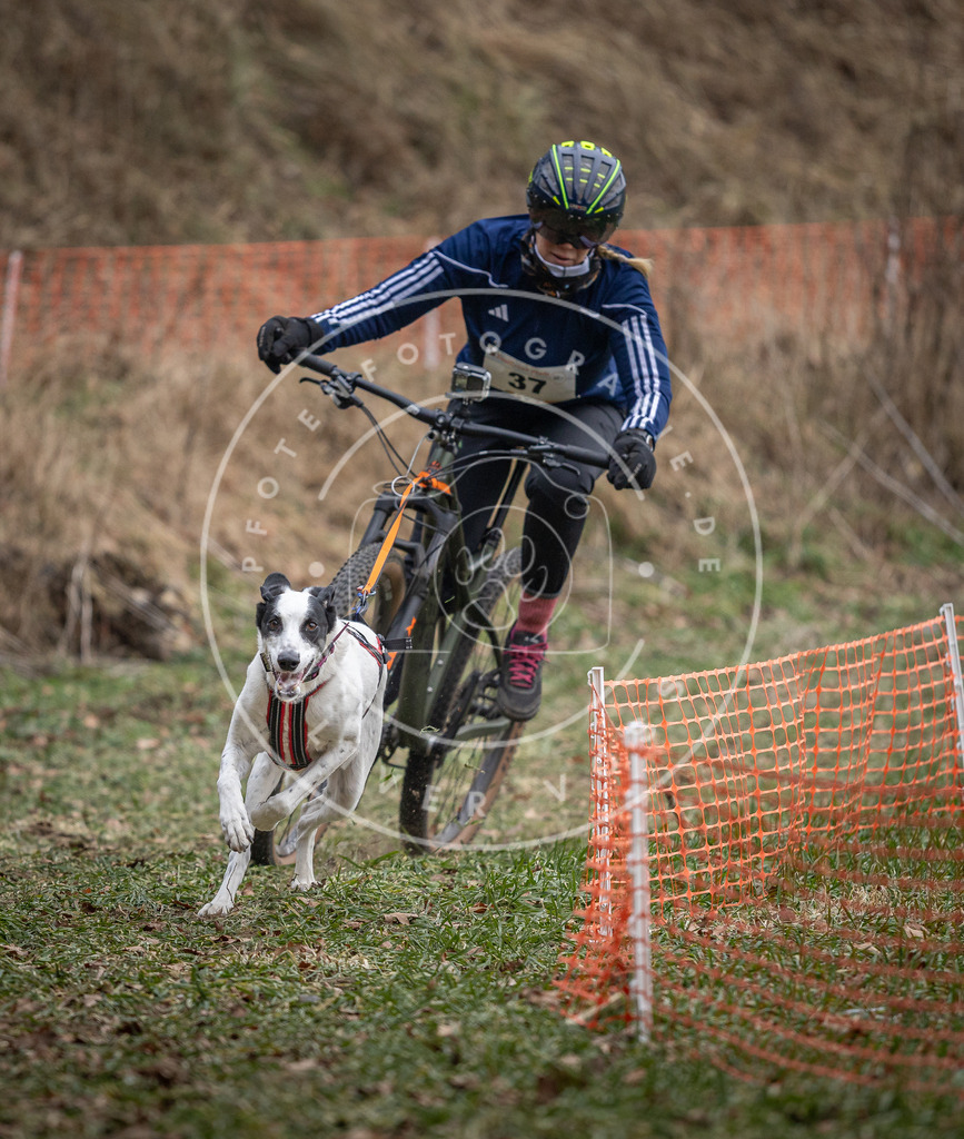 Pfotenfotografie_DV3A9791 | Hundefotografie, Tierfotograf, Pfotenfotografie, Fotoshooting Hund, Hunde Portrait, Hundesport, Hundeportraits, Heideshooting, Hunde, Sportfotograf, Hundefotograf, Turnierhundsport, THS,  - Realisiert mit Pictrs.com