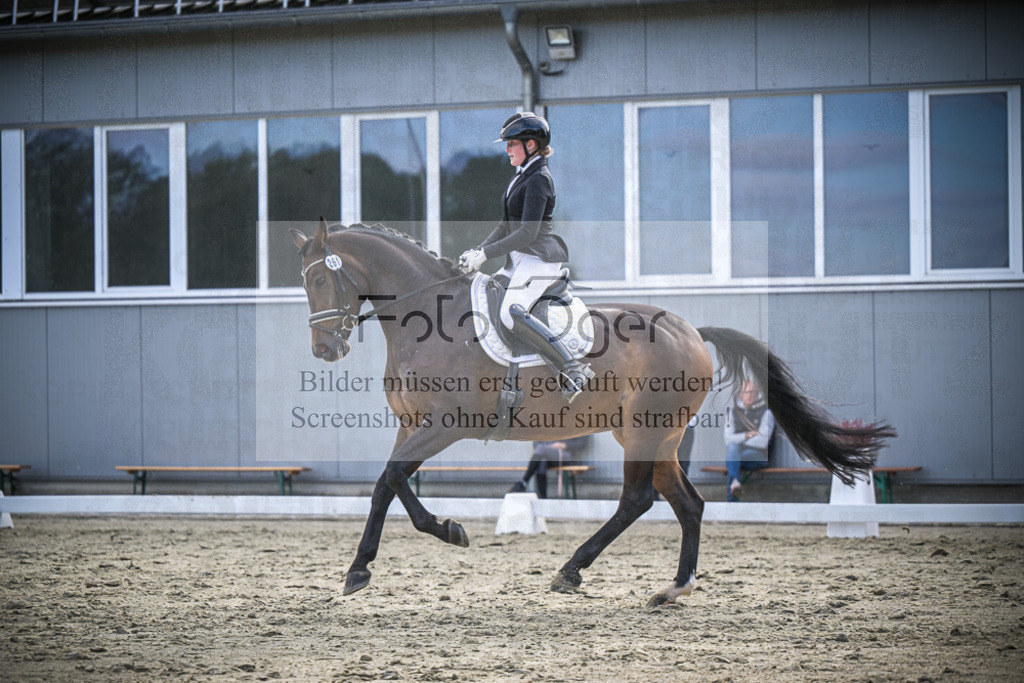 DOS_1759 | Entdecke hochwertige Reitturnierfotos von Foto Oger. Professionell, emotional und authentisch – jetzt Lieblingsmomente im Shop bestellen.Deutschlandweite Turnierfotografie. - Realisiert mit Pictrs.com