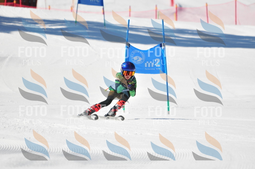 C3699 | holidayphoto