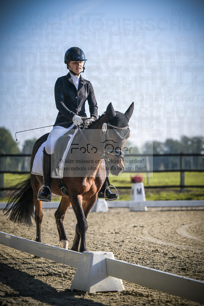 DOS_0682 | Entdecke hochwertige Reitturnierfotos von Foto Oger. Professionell, emotional und authentisch – jetzt Lieblingsmomente im Shop bestellen.Deutschlandweite Turnierfotografie. - Realisiert mit Pictrs.com