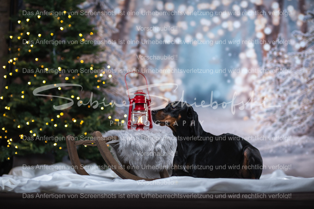 DSCF4336 | People- und Tierfotografie, Imageaufnahmen, Veranstaltungsfotografie und Wandbilder aus der Natur ★ Made in Germany ✔️ Druck + Downloads ✔️ Naturfotografie in Top Qualität ★ schneller Versand, weltweite Lieferung! - Realisiert mit Pictrs.com