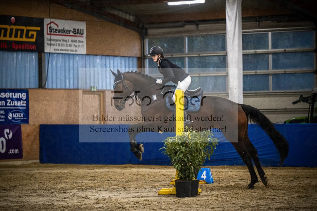 DOS_0833 | Entdecke hochwertige Reitturnierfotos von Foto Oger. Professionell, emotional und authentisch – jetzt Lieblingsmomente im Shop bestellen.Deutschlandweite Turnierfotografie. - Realisiert mit Pictrs.com