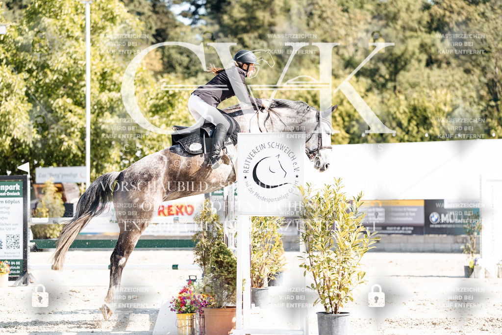 CK902589 | Turnierfotografie Pferdefotografie Trier Rheinland-Pfalz Pferdesport Reitsport Tierfotografie Sportfotografie Pferdevideo Pferdevideografie Equestrianvideography equestrianphotography  - Realisiert mit Pictrs.com